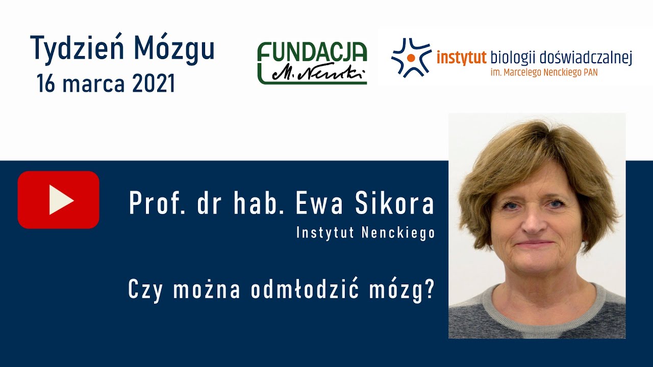 Czy można odmłodzić mózg?