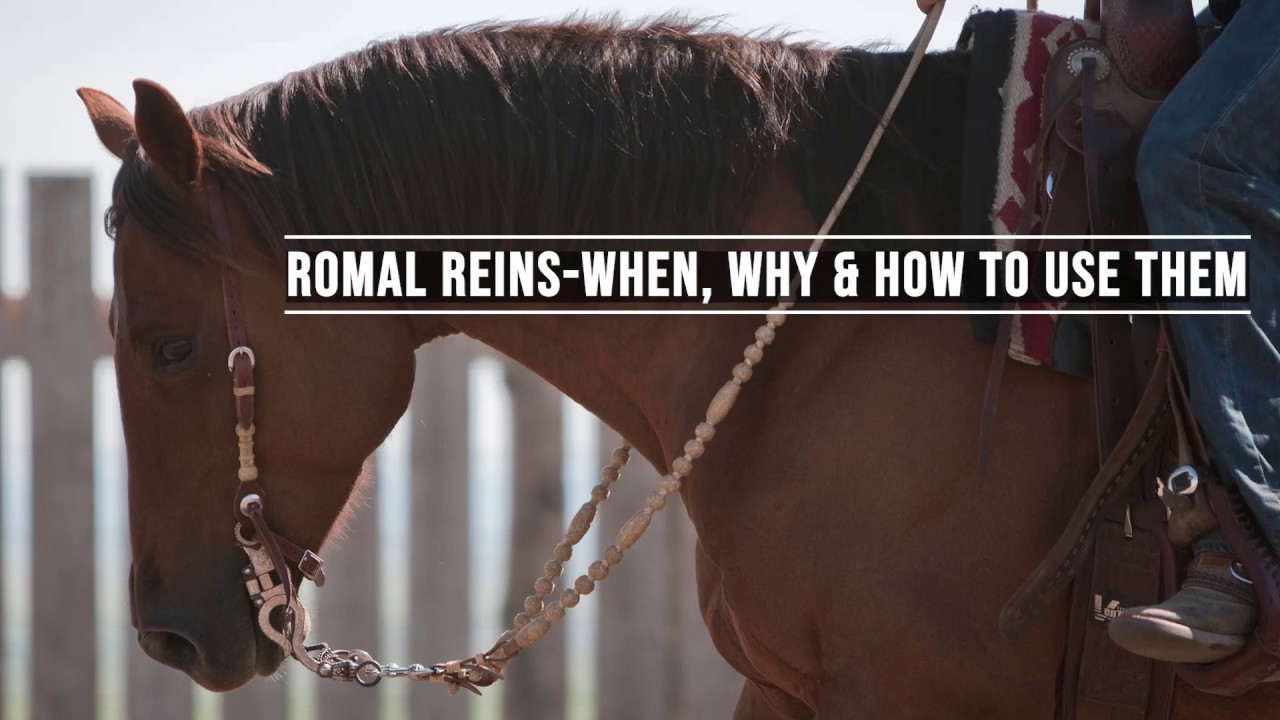 Romal Reins-When, Why & How to Use Them