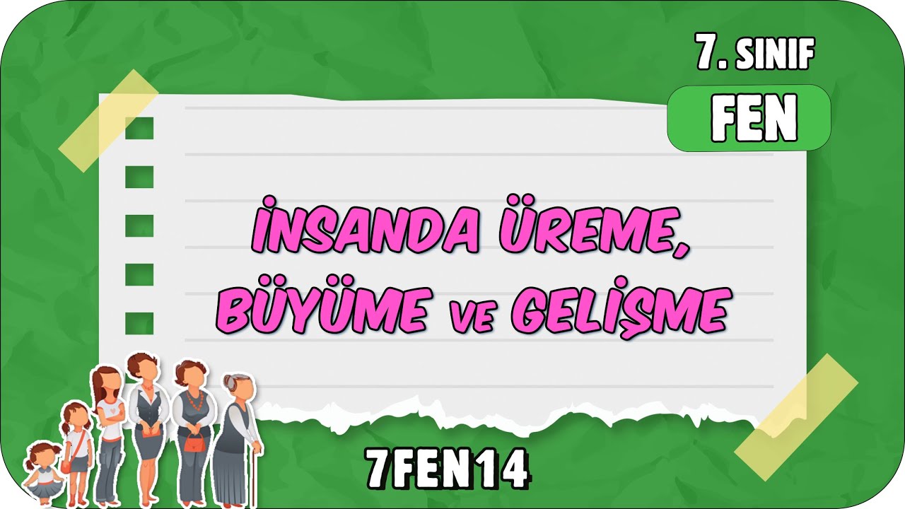 İnsanda Üreme, Büyüme ve Gelişme 📗 7. Sınıf Fen #2024
