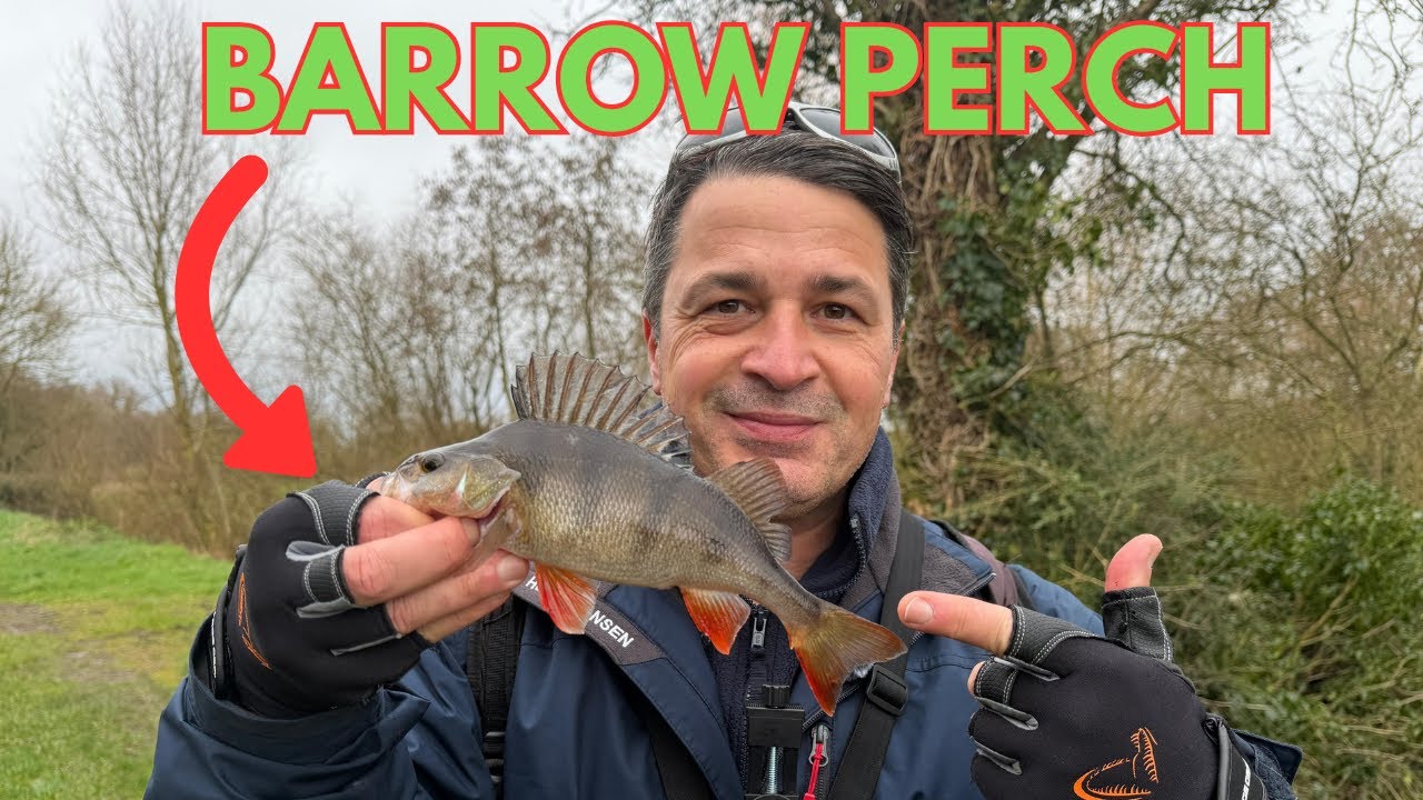 I found a school of perch in the canal and things got exciting fast 🐠🐠🐠