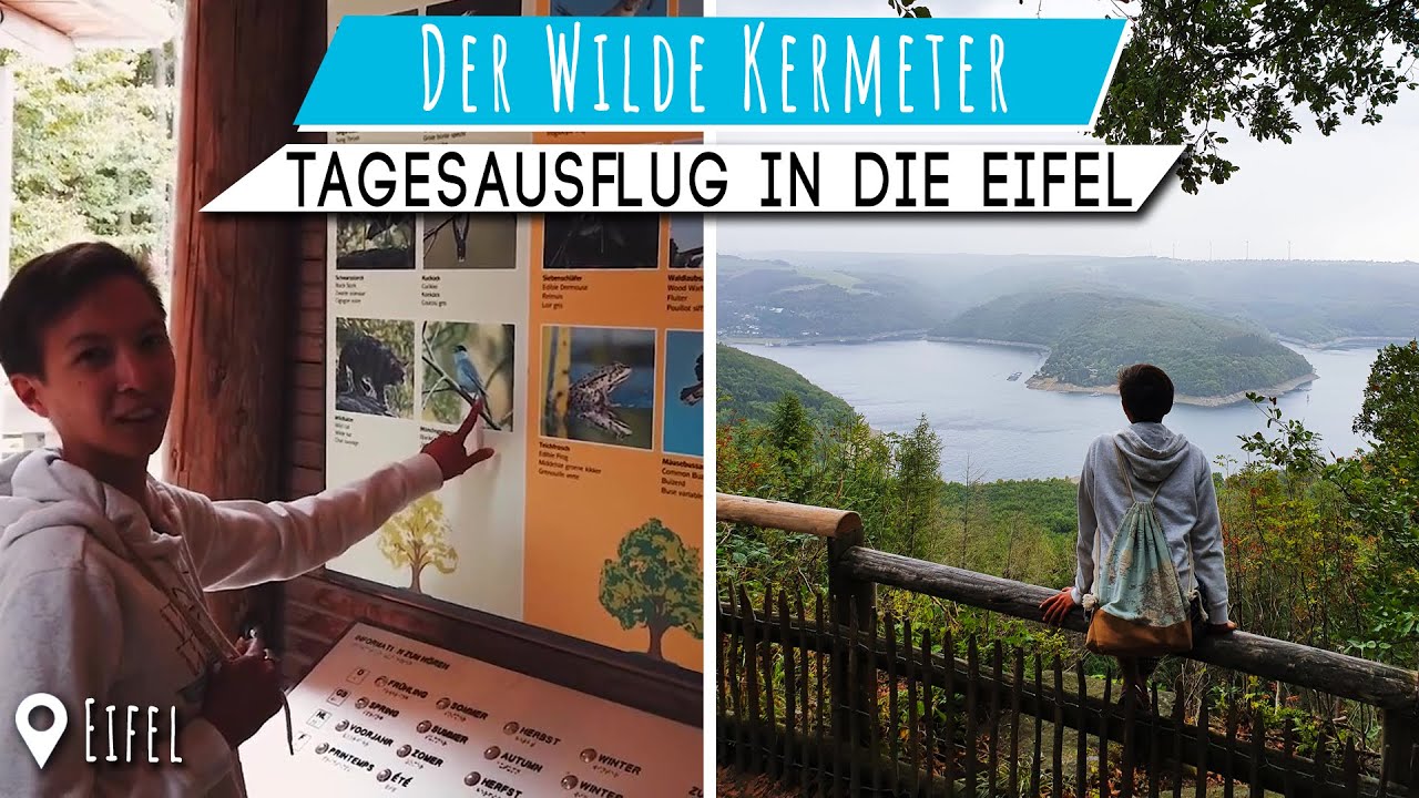 Urlaub trotz Corona • Der Wilder Kermeter & Hirschley • Wandern im Nationalpark Eifel •