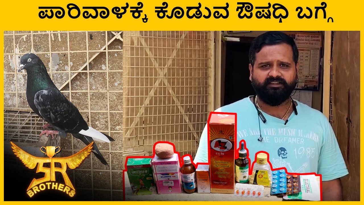 ಪಾರಿವಾಳಕ್ಕೆ ಕೊಡುವ ಔಷಧಿ ಬಗ್ಗೆ