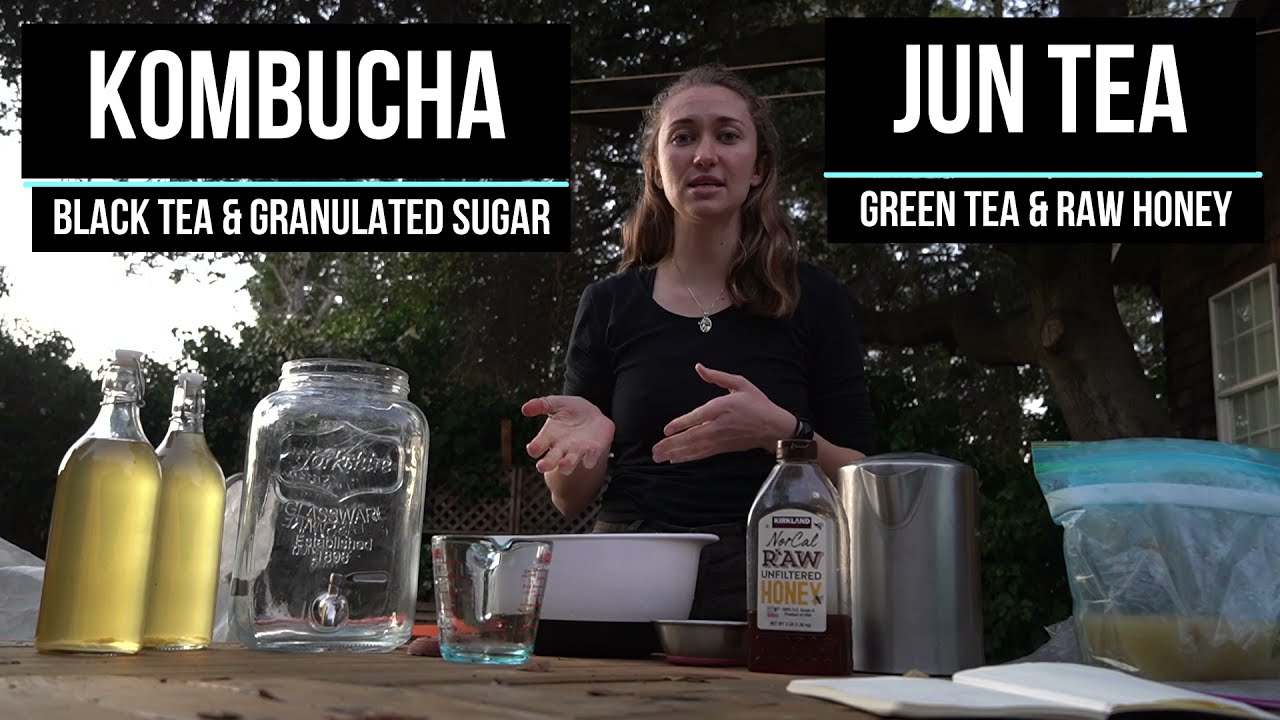 Alternative to Kombucha - brew your own Jun Tea!
