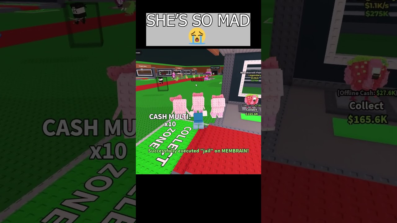 I stole her SECRET (Steal a brainrot)