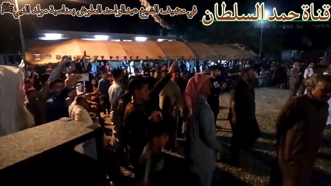 المداح السيد ابراهيم السلمان المعماري مديح حربي🔥ضرب بحق السادة الجبر الشدة في قرية السادة اشويرات