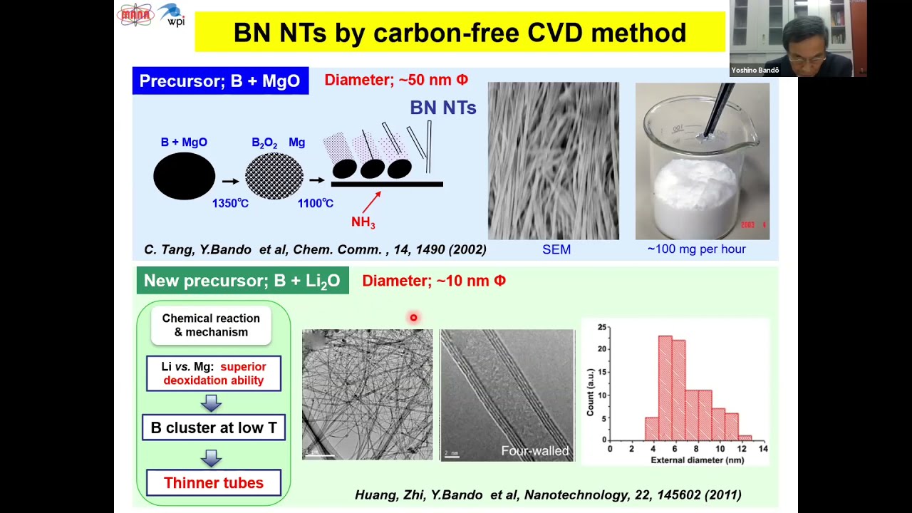Boron Nitride Nanotube/nanosheet for Energy and Enviromental Applications