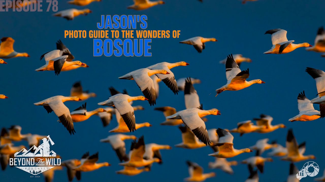 Episode 78: JASON'S PHOTO GUIDE TO THE WONDERS OF BOSQUE