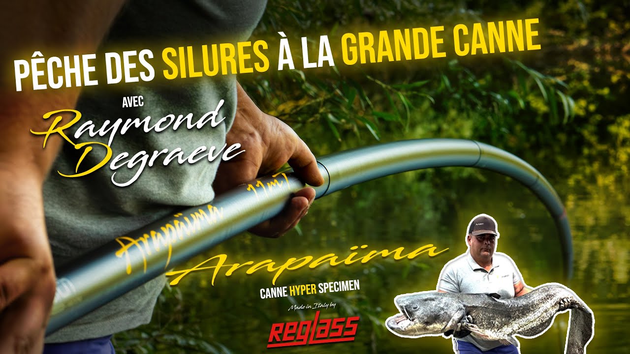 Pêche des silures avec la nouvelle canne 'Arapaïma' de chez A-match !