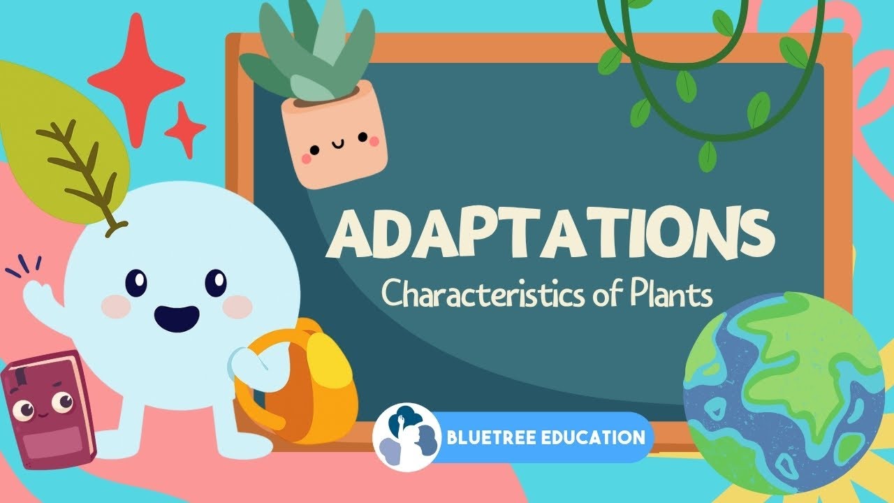 Primary Science PSLE Revision Guide EP 11 | Adaptations | Characteristics of Plants 🌵🌰