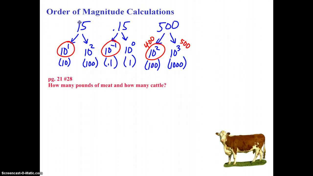 College Physics Order of Magnitude