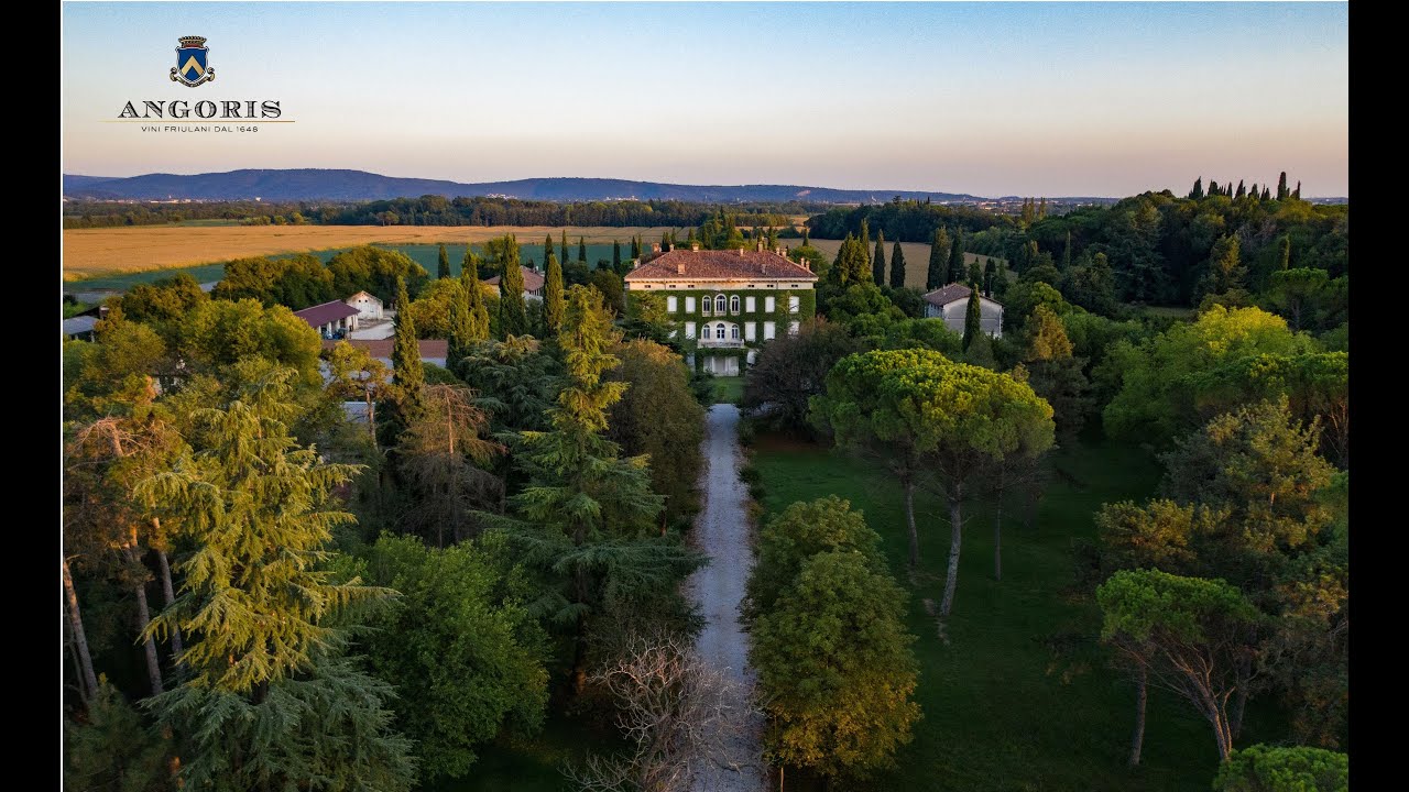 Tenuta di Angoris