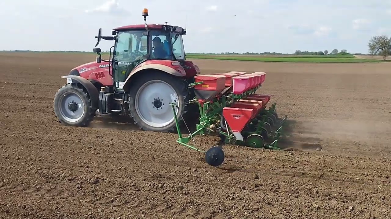 Sjetva suncokreta sezona 2023. Case Farmall 105c i olt psk 6