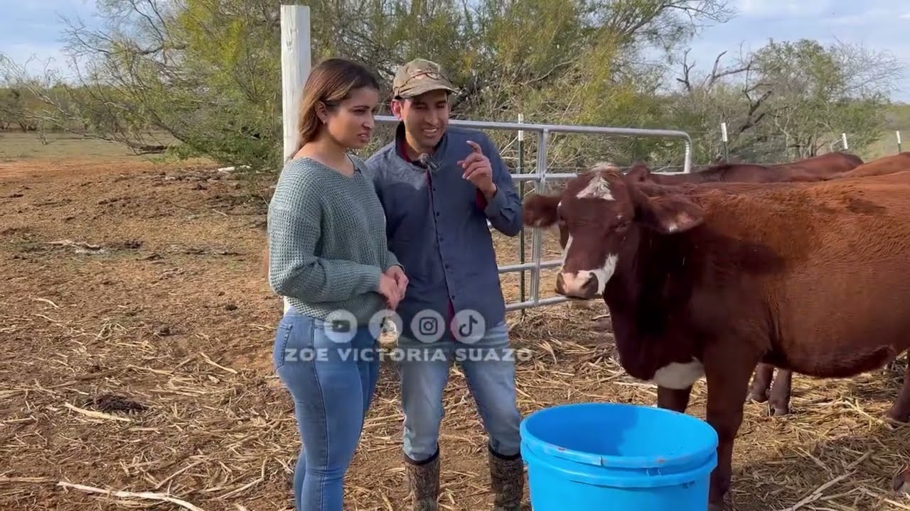 El hombre de las 3 manzanas
