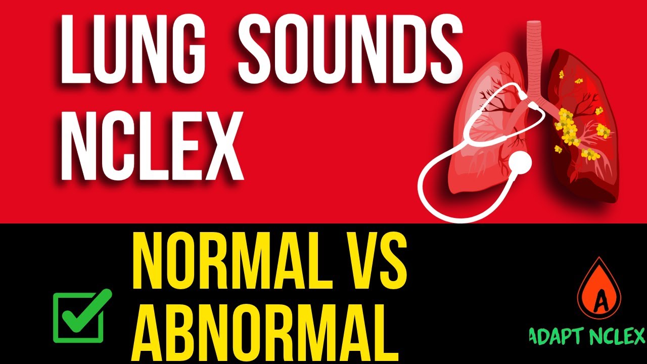 NCLEX Respiratory Assessment | Lung Sounds & Breath Sounds Fundamentals Explained