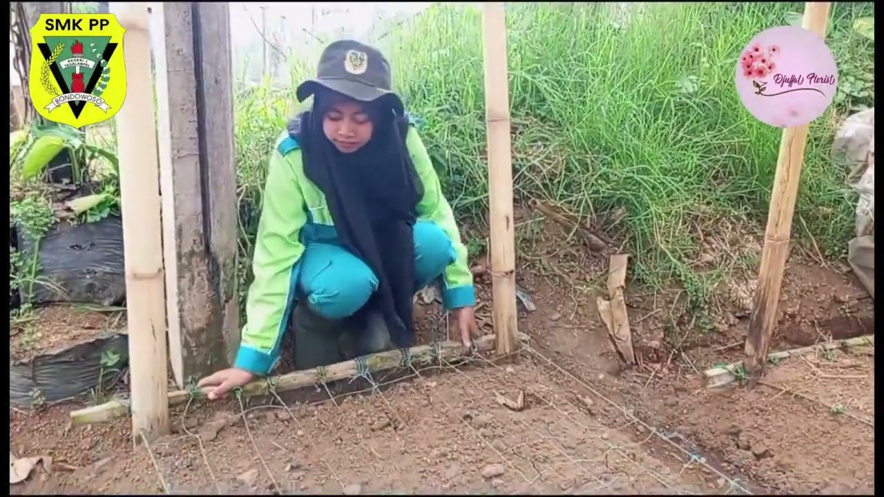 kegiatan saya selama pkl di djuffal florist