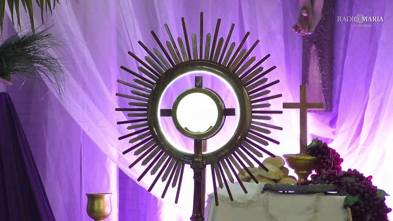 💜 Santa Eucaristía y Ejercicio de los 7 lunes, 16 de febrero 2026