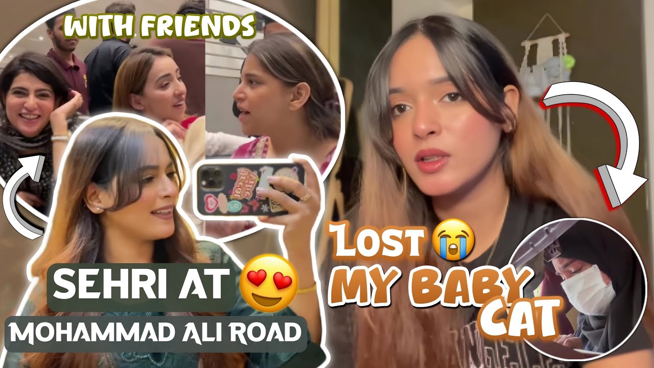 Ramzan Update😇| Lost My Baby Cat Hoor😭💔| Shifa Memon #ramzan