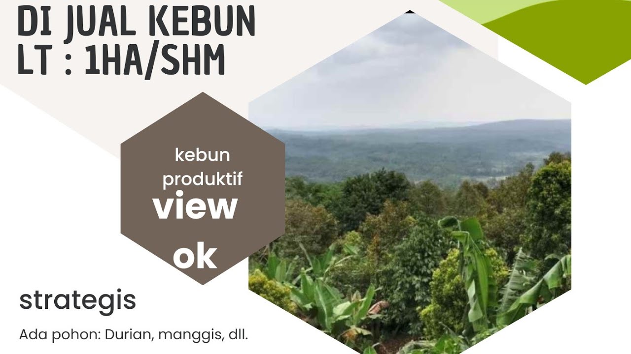 ✅ KEBUN PRODUKTIF _ Durian, manggis, alpukat, Dll. Dapat View cakep