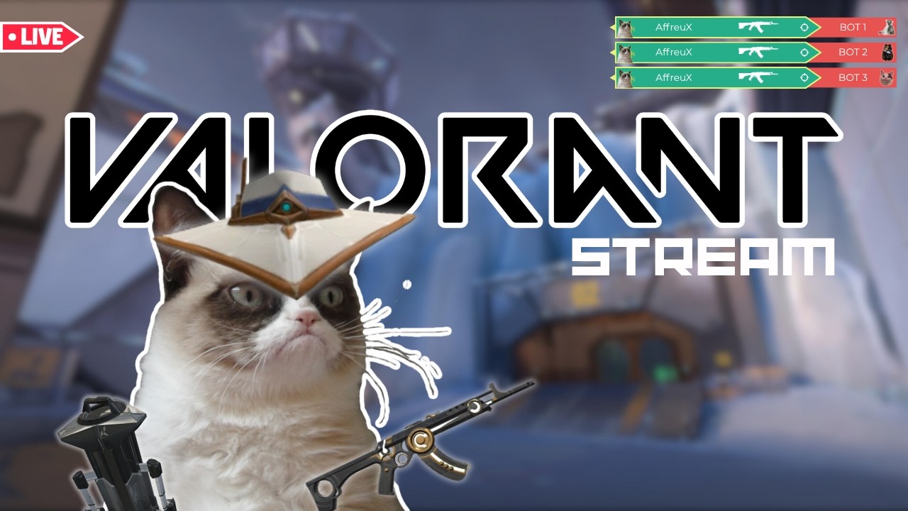ADUH DAH LAMA GA MAIN w/@hibongg #valorant #indonesia #gaming