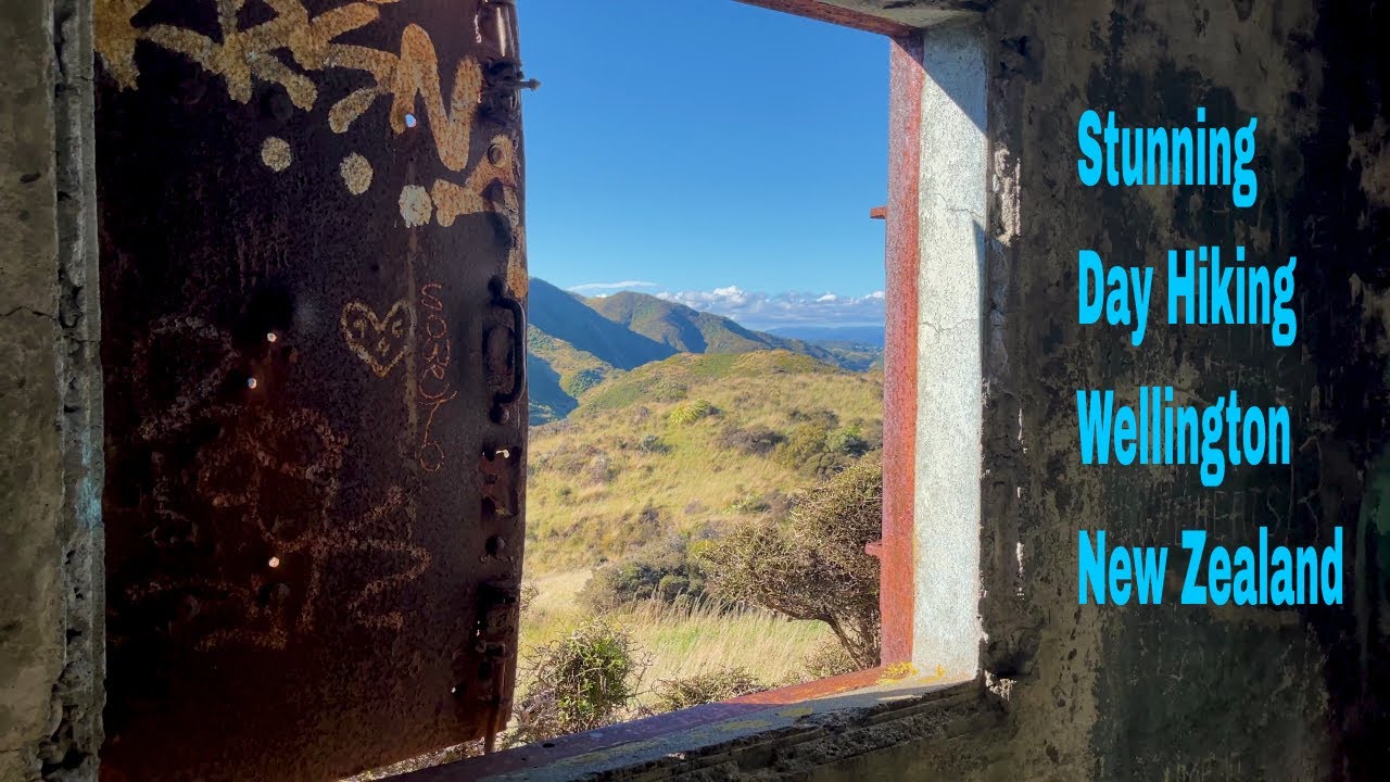 Day Hiking in the Hills above Wellington, New Zealand.