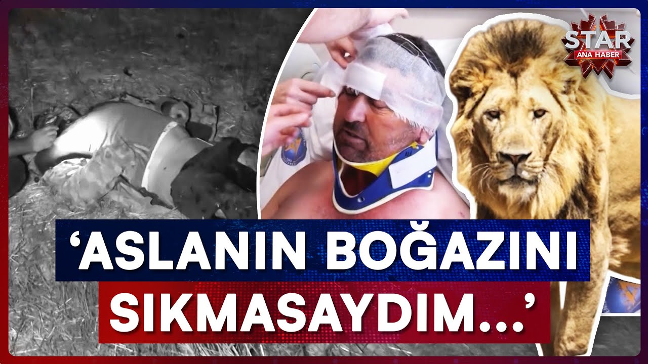 Antalya'da Aslan Saldırısına Uğrayan Çiftçi O Anları Anlattı | Star Ana Haber