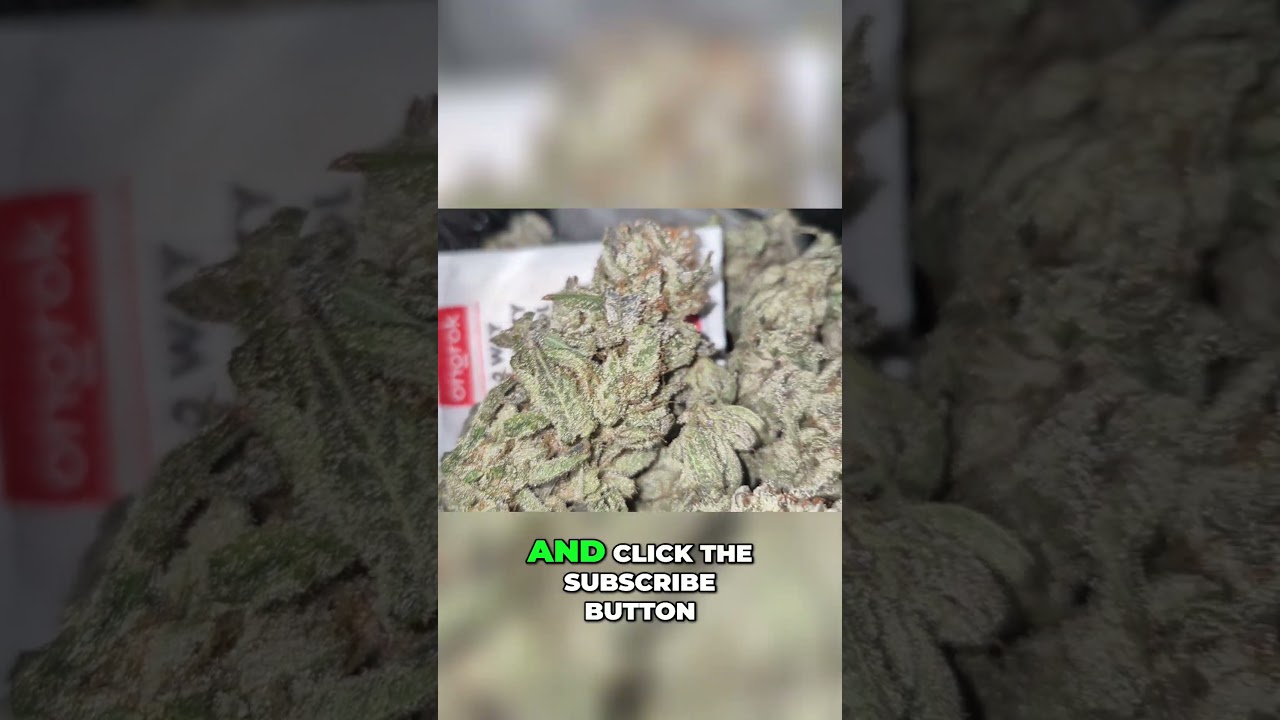 Cannabis Up Close  Mind Blowing Bud Details You Need to See! #frost #grow #cultivation #flowers