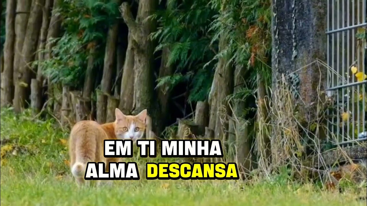 Esse nome traz vida 