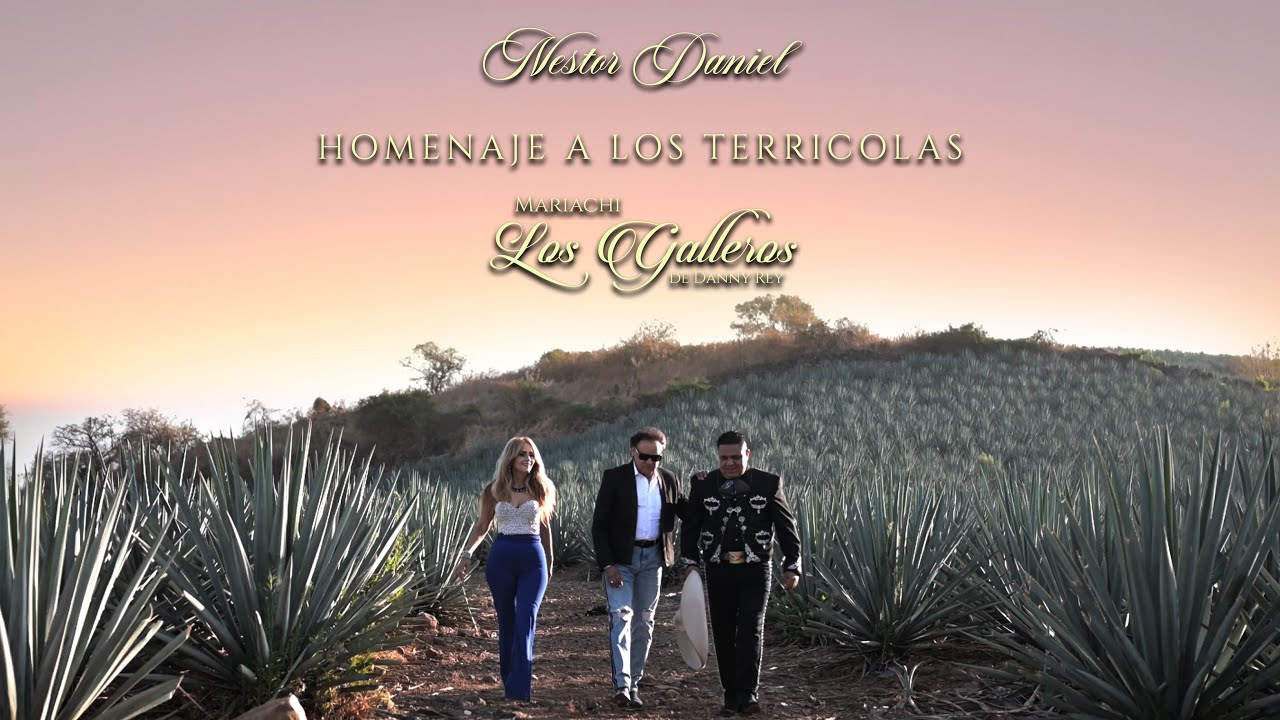 Homenaje A Los Terricolas - Los terrícolas de Néstor Daniel Ft. Mariachi Los Galleros De Danny Rey