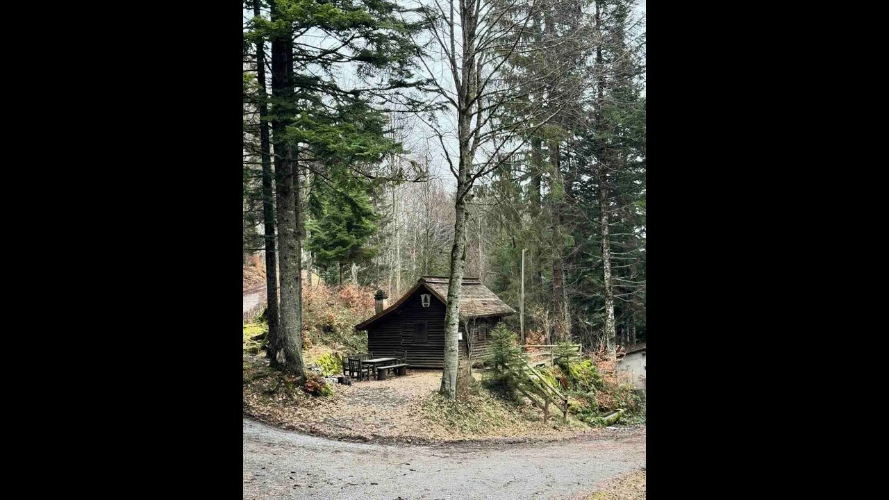 SUISSE (Canton de Vaud) - Morges et Montricher, entre forêt et lac