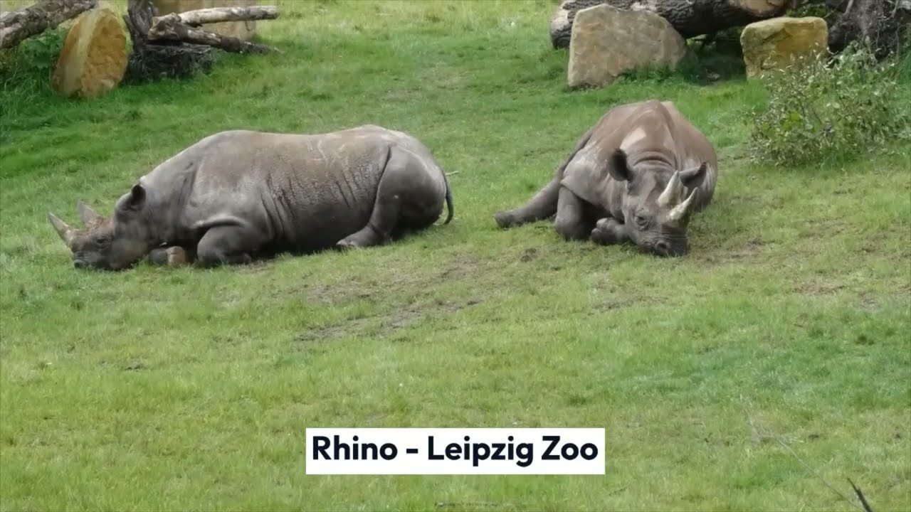 10 Top-Rated Tourist Attractions in Leipzig, Germany