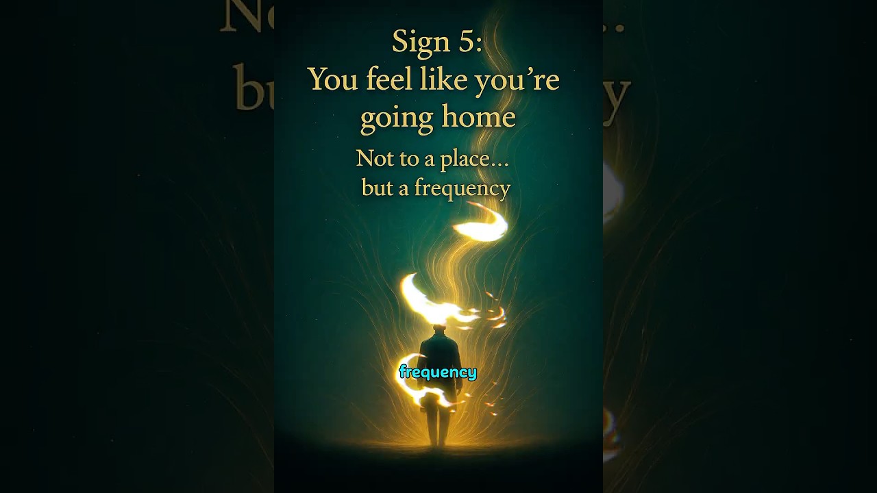 6D ➝ 7D: The Self Dissolves Into Frequency | Levels of Dimensional Shift Ep. 4