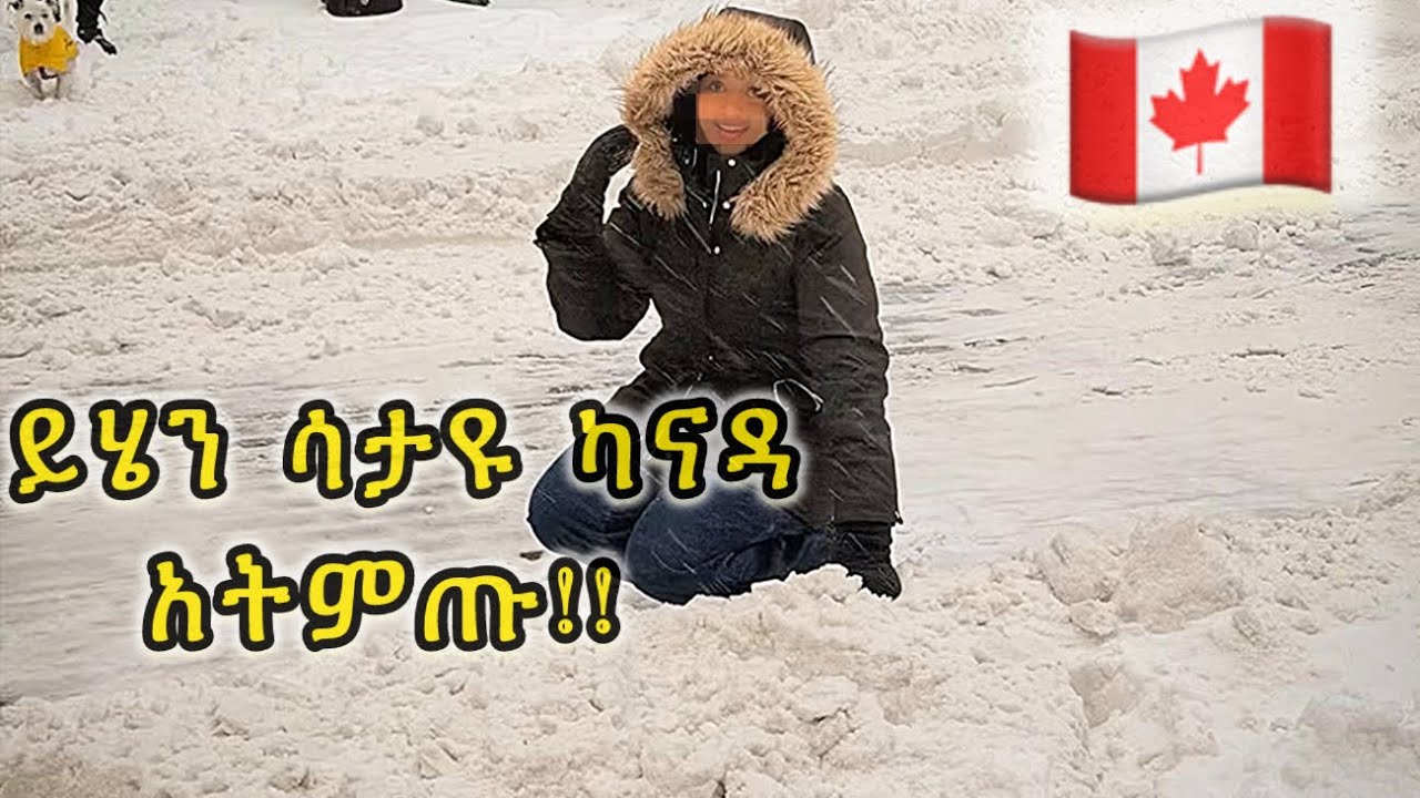 በ$50 የገዛሁት እቃ እና የካናዳ በረዶ❄️🛒