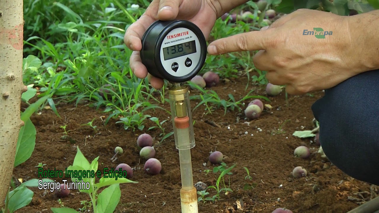 Quadro - Repórter em Campo: Irrigação da macieira