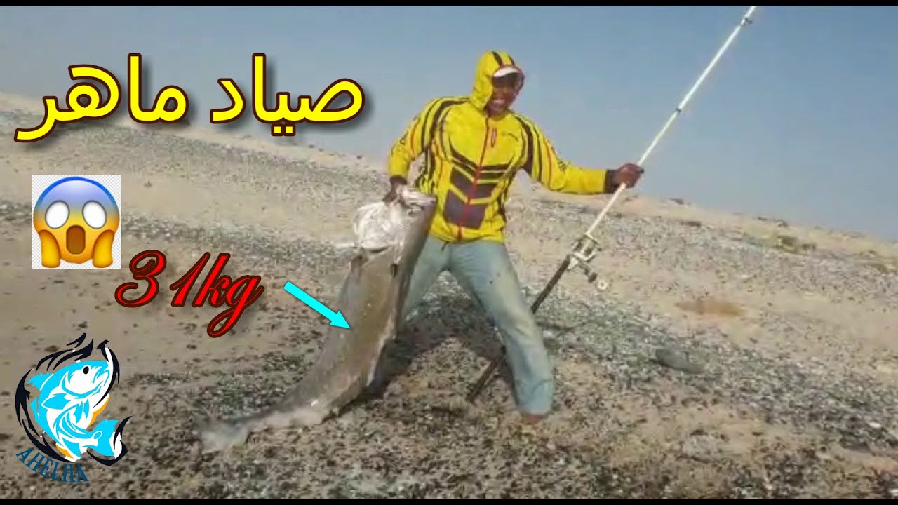 المهارة والاحتراف صيد السمك القرب الاعملااق        ا اهلها لصيد السمك - sea fishing 🎣