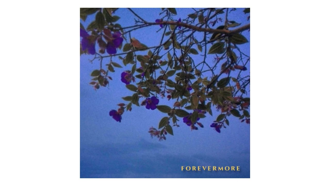 Grief Relief - Forevermore