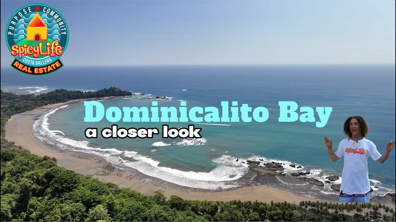 DOMINICALITO BAY 🏄‍♂️ COSTA RICA 🇨🇷 SPICY LIFE 🌶 ❤️ 🦅 WE BUILD COMMUNITIES 🙏💙💪