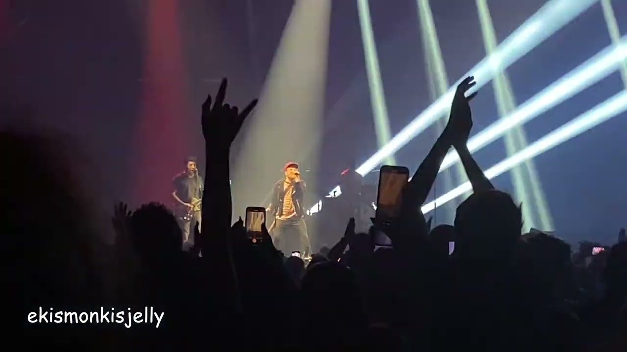 Fall Out Boy - My Songs Know What You Did in the Dark (Light Em Up) | So Much For (2our)dust