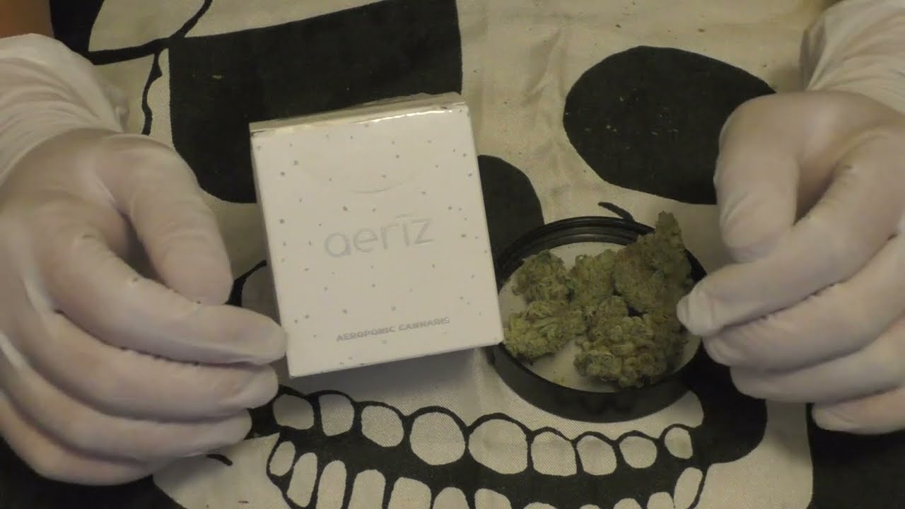 Aeriz Gorilla Cookies