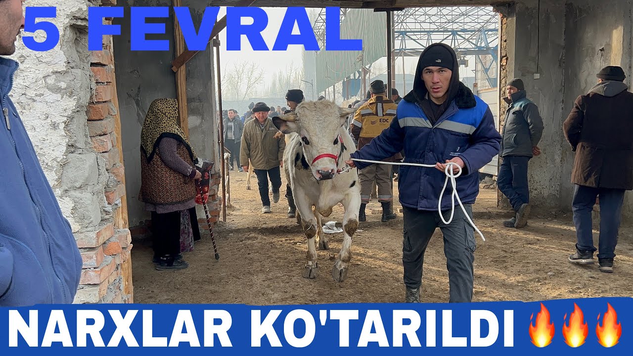 RYALNI OLINGAN VA SOTILGAN NARXLAR 🤝ALBATTA KORING 05 02 2026 ✅✅✅