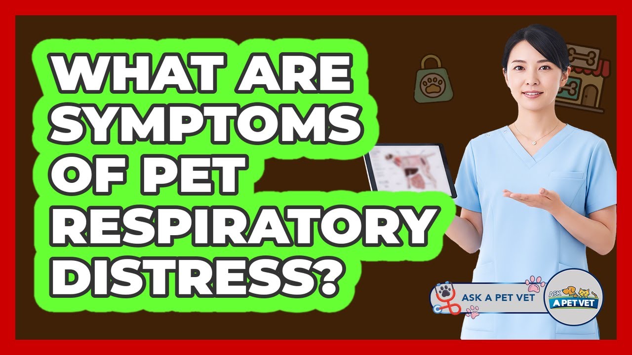 What Are Symptoms Of Pet Respiratory Distress?