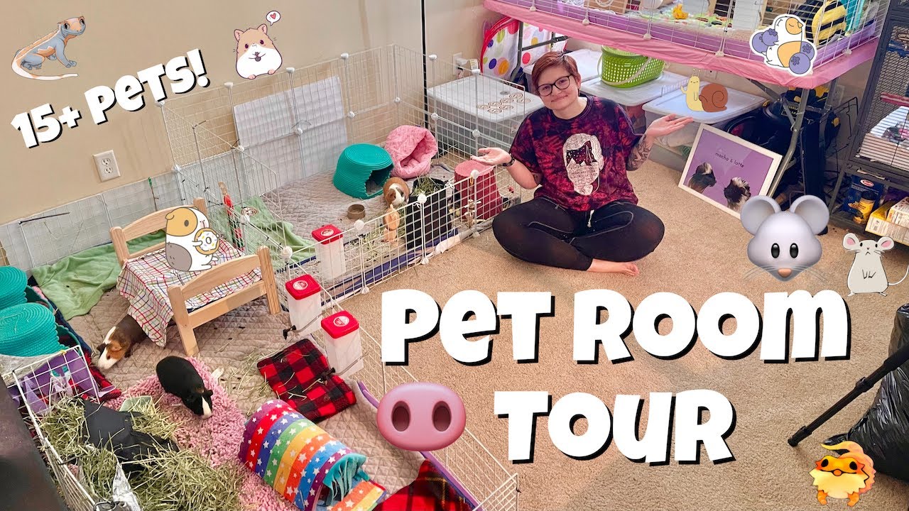 PET ROOM TOUR!🐾 | 15+ PETS |