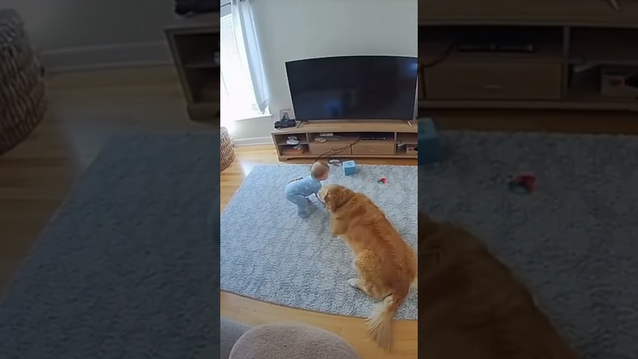 Hero Dog Saves Baby From Falling TV | Caught on Home Security Camera