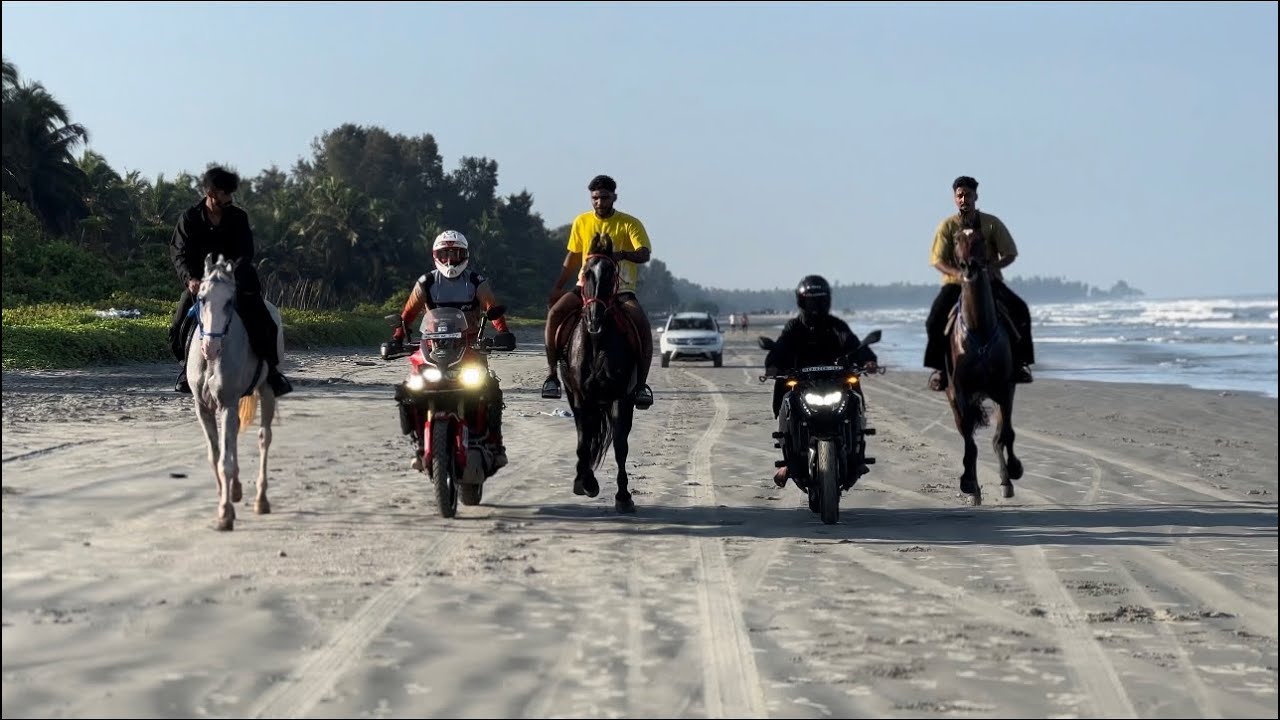 തിക്കോടി ബീച്ചിൽ ഒരു അടിപൊളി കുതിര സവാരി | thikkodi riding beach | shimil malappuram | HTRZ modz