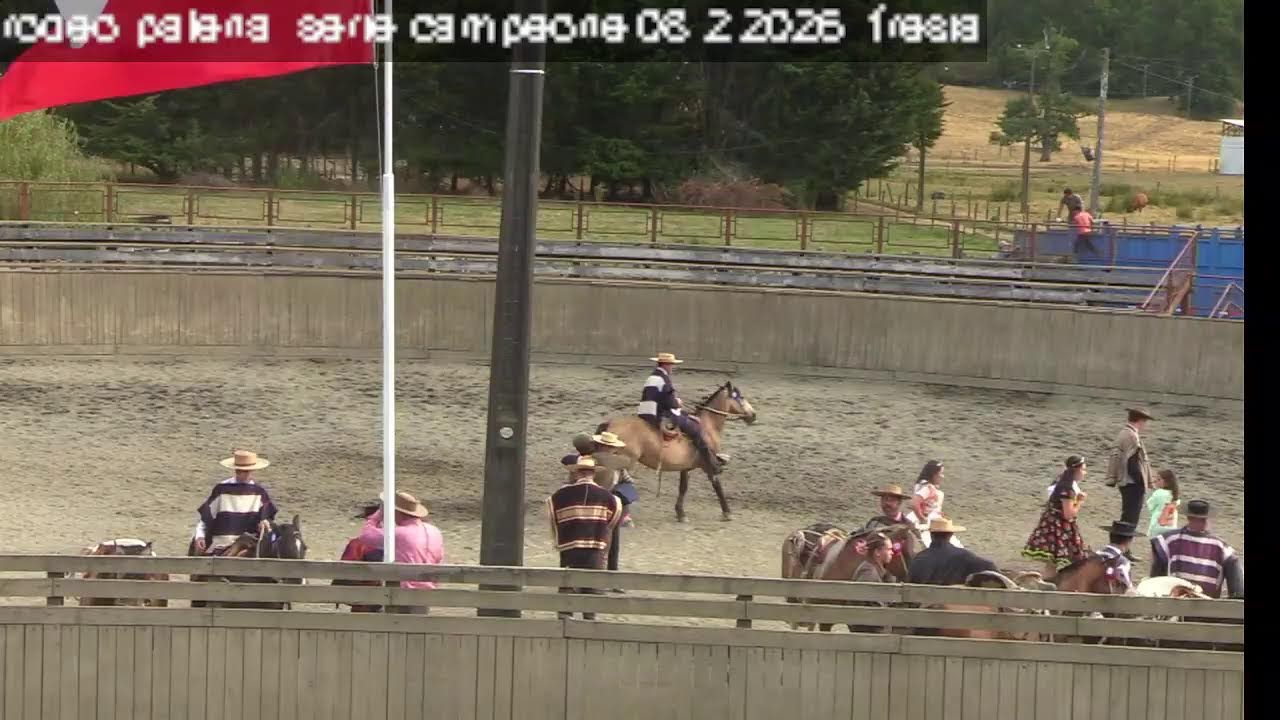 Emisión en directo de Asoc. Lago Llanquihue