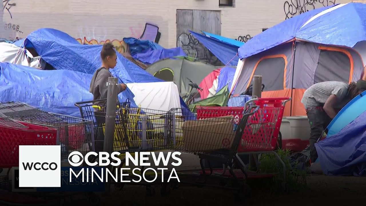 Minneapolis property owner will clean homeless encampment so city doesn't clear it out