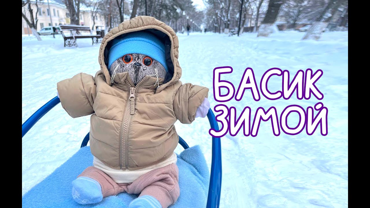 Кот Басик зимой. Прогулка с басиком #Басик #Басики #Волшебные будни