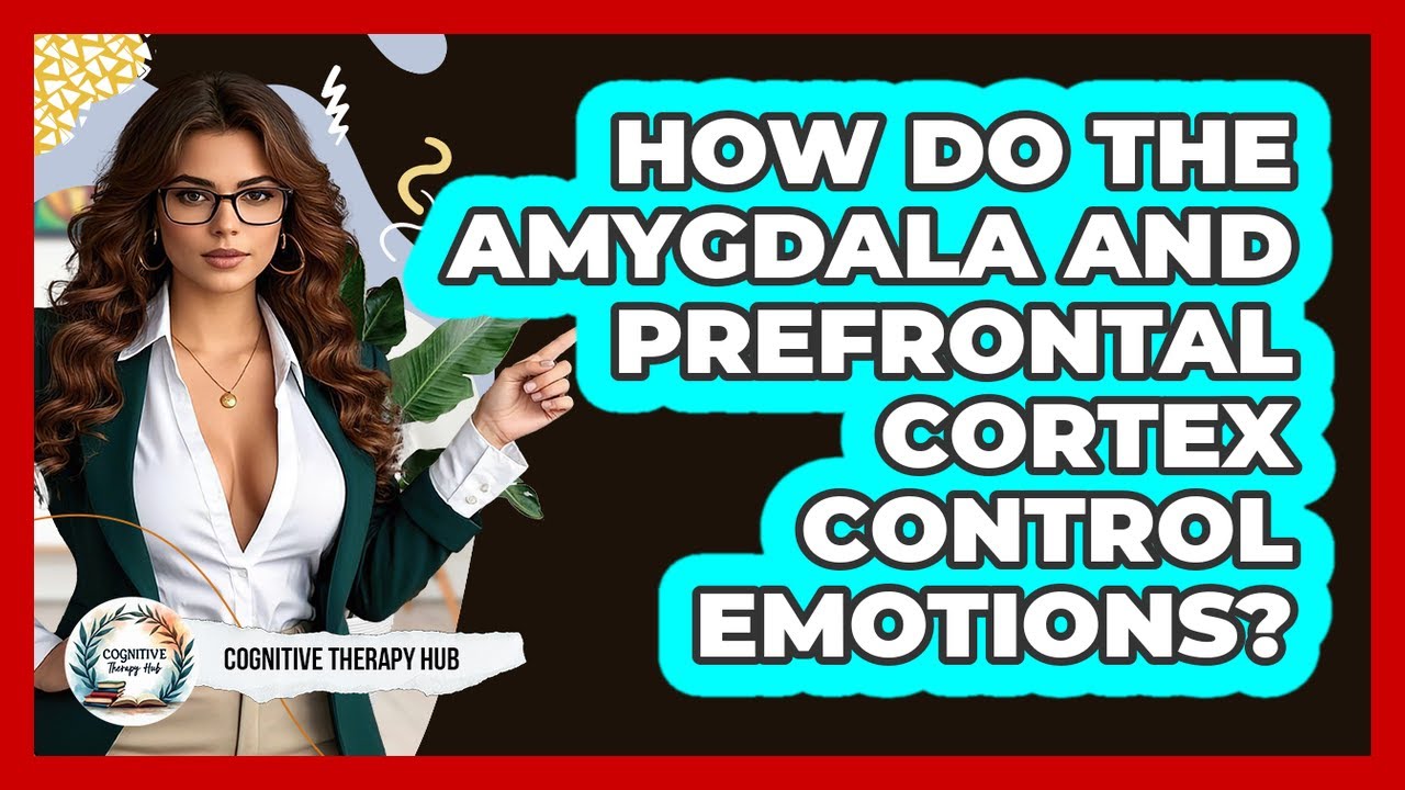 How Do The Amygdala And Prefrontal Cortex Control Emotions? - Cognitive Therapy Hub