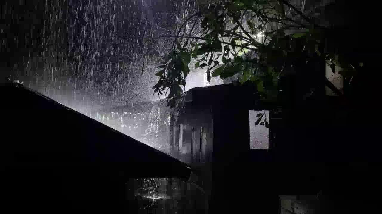 Heavy Rain on Tin Roof 🌧️ Fall Asleep Instantly