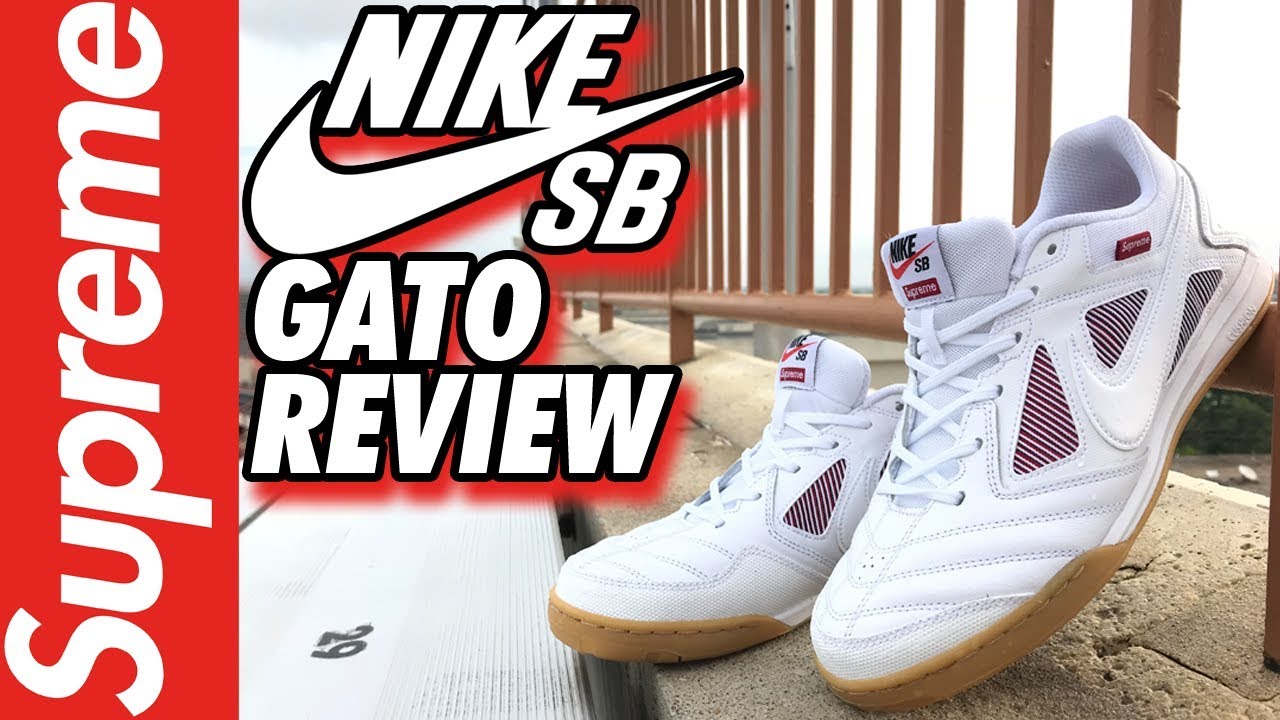 SUPREME NIKE SB GATO ON-FEET REVIEW!