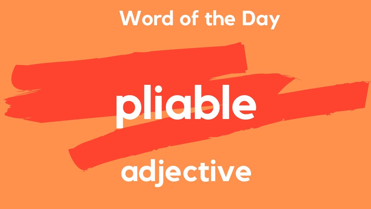 Word of the Day - PLIABLE. What does PLIABLE mean?